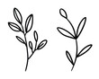 © Design planet1001 - Delicate black line drawing of two plant stems with leaves