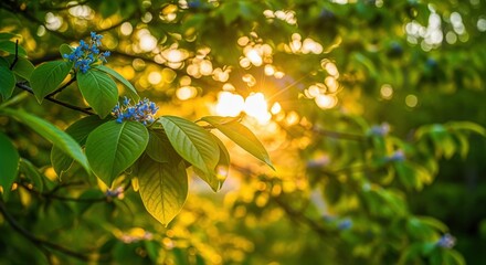 Wall Mural - Gentle Sunlight Through Blossoming Tree Canopy, Fresh Green Leaves and Blue Flowers in Springtime