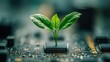 © Generative AI - Sustainability in Technology: Green Plant Growing on Microchip Representing Eco-Friendly Tech Innovation