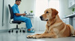 © Olga B.G. - Dog lying on floor beside veterinarian in clinic waiting room