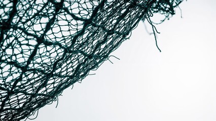 Detailed view of mesh fabric against a plain white backdrop