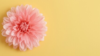 Wall Mural - Bright yellow background featuring a pink fake flower and text area - Abstract floral pattern, design texture, summer vibes, wedding accessory, isolated fashion illustration