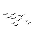 © Hashslingingslasher - flock of bird vector design hand drawn