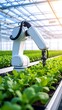 © Aldi - Robotic arm tending plants in a greenhouse (2)