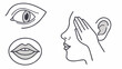 © Sm - woman face sketch