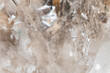 © Gemma can fly/Stocksy - Close-Up View of Clear Crystals in Nature
