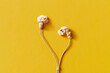 © Yaroslav Danylchenko/Stocksy - Popcorn earbuds on yellow background