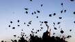 © Maite Pons/Stocksy - Graduation Caps in the Air