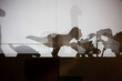 © Marisa Magnusen/Stocksy - Shadows of Dinosaurs