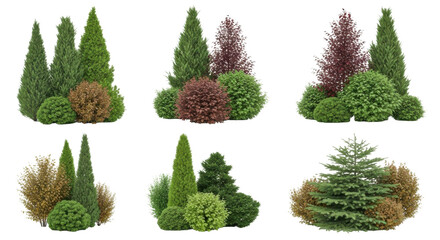 Photo of various topiary shrubs and trees isolated on transparent background