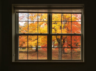 Wall Mural - window view to picturesque autumn trees at a park in new england