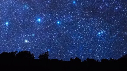 Wall Mural - milky way star-trails and rural countryside tree silhouettes. time-lapse video.
