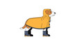 © jakkaphong - Dog Ready for Rain Cheerful Cartoon of a Dog Wearing a Yellow Raincoat and Boots