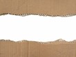 © Eka - Brown ripped torn cardboard edge strips isolated on white background