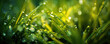 © iwaart - Morning dew glistens on freshly grown grass in a lush garden during early dawn hours