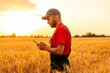 © Barillo_Images - Rural farmer using smartphone for smart farming in wheat field