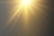 © Oleksandr - Bright golden rays of light with a glitter effect and flashes.