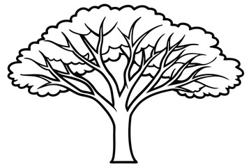 outlined tree displays broad canopy with winding branches on a white background vector