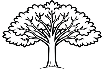 solitary tree with black outline displays bare branches and leafy foliage against white