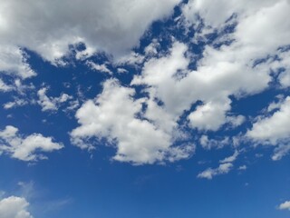 Wall Mural - blue sky with cloudsCumulus clouds are scattered, lumpy and generally resemble cotton piles. These clouds are generally heralds of fine weather and storm clouds (cumulonimbus) that can bring rain when