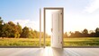 © somad - Open door leading to a serene landscape symbolizing opportunities and new beginnings