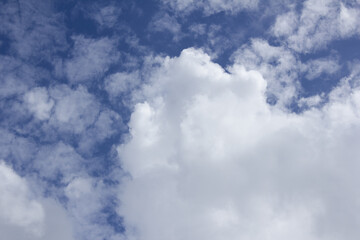 Wall Mural - blue sky with puffy clouds
