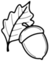 Wall Mural - dot pattern black outline of acorn and leaf in simple artistic style