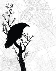 Wall Mural - mysterious raven bird sitting on bare tree branch among spider web - halloween theme black and white