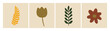 © marcelo - Conjunto floral abstracto dibujado a mano. Paquete vectorial botánico minimalista.
