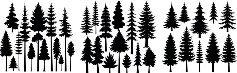 Forest tree silhouettes collection. Pine trees horizontal pattern panorama backgrounds. Vector illustration
