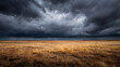 © Masud - Vast golden grassland under dramatic dark storm clouds dry grass brown