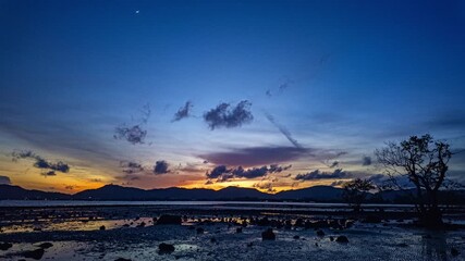 Wall Mural - time lapse captures the golden sun slowly descending behind the mountain ridge, casting long shadows over a vast expanse of mangrove trees.The peaceful rhythm of nature unfolds as twilight