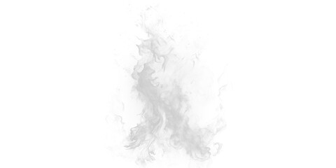 Wall Mural - A cloud of gray smoke or fog isolated against a black background in a digital rendering style