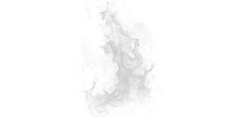 Wall Mural - Isolated cloud of gray smoke against a black background with pixelated edges and soft diffused texture