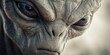 © Olena - Intricate Grey Extraterrestrial Face. Hyper-Realistic Close-Up of a Grey Alien Character