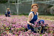 © JackF - Positive female florist working with tradescantia flowers in pots in greenhouse