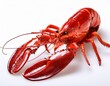 © Marie K - boiled red lobster with large claws and antennae isolated on transparency background