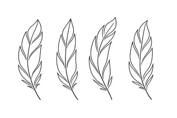 Elegant Feather Line Art, Detailed Feather Outlines on White Background, Minimalist Vector Illustration, Transparent Background, Decorative Design Elements