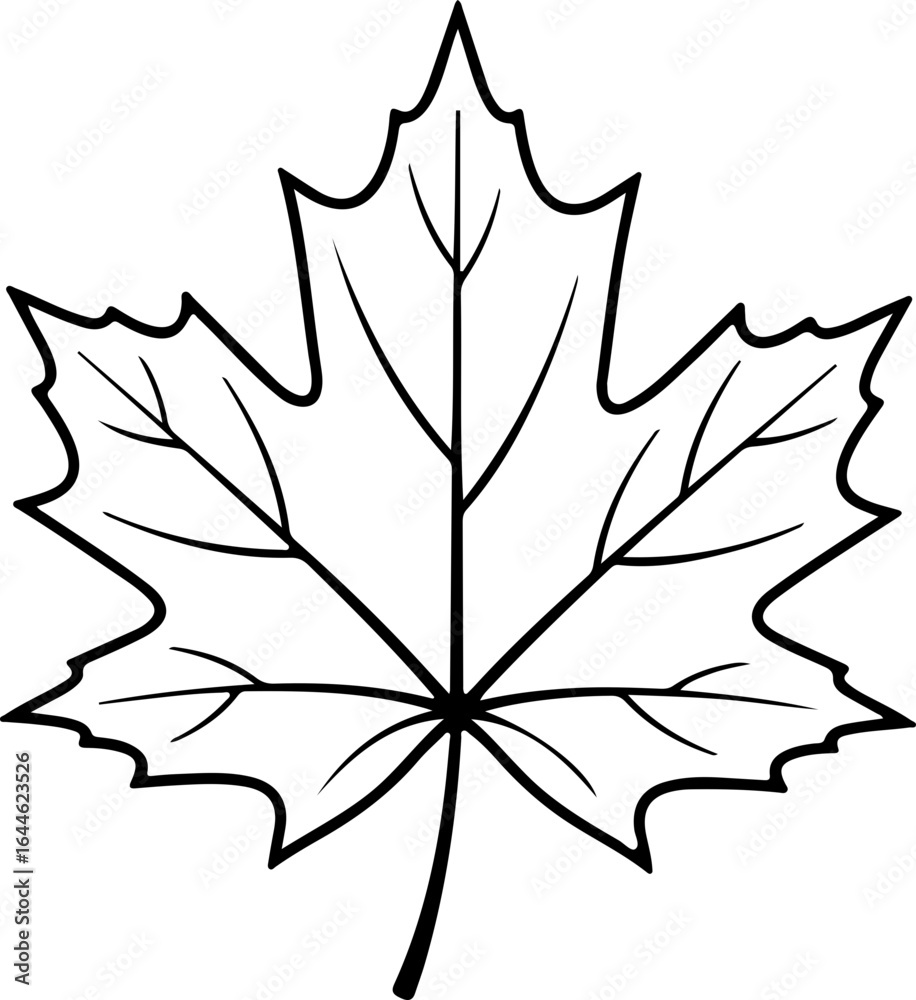 A detailed black and white outline of a maple leaf with prominent veins ...