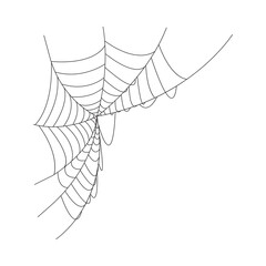 spider and web silhouette isolated on transparent background