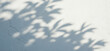 © mine95 - Shadows of leaves on a white textured wall create an abstract pattern with soft light and delicate details, bringing a refined and minimal decorative charm.