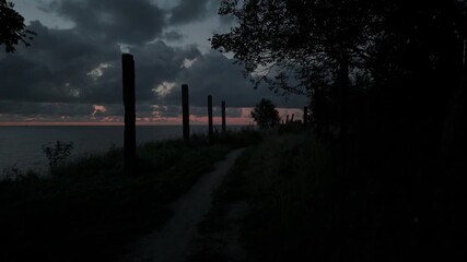 Wall Mural - narrow path leading to the sea at dusk framed by silhouettes of trees and poles