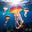 © Bahi - Sunlit jellyfish gracefully drift in a vibrant underwater scene