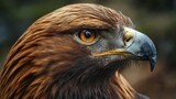 Close-up portrait of a majestic golden eagle with piercing yellow eyes, brown feathers and sharp beak in natural light, showcasing its power and beauty