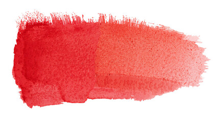 Wall Mural - vibrant coral watercolor brushstroke with artistic texture on transparent canvas conveying raw