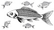© Kyle - carp fish black and white icon set