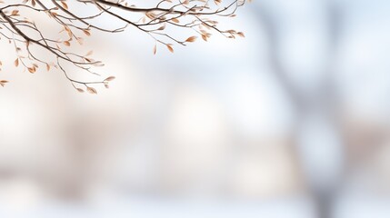 Wall Mural - Soft-focus winter scene with delicate branches, subtle leaves, and blurred background creating a serene atmosphere