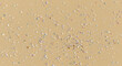 © indah - Close-up view of sand with scattered seashells.