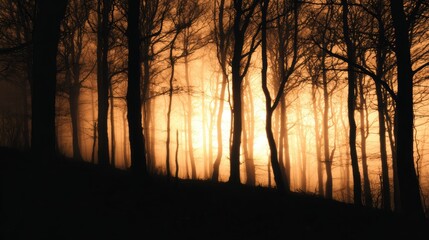 Wall Mural - silhouetted trees against a glowing sunset in a misty forest, creating a serene and mysterious atmos