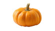 © Atlas - Vibrant pumpkin with strong stem, created with AI, PNG